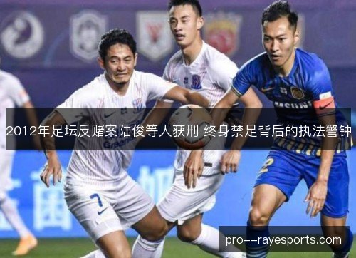 2012年足坛反赌案陆俊等人获刑 终身禁足背后的执法警钟 2012年足坛反赌案陆俊等人获刑 终身禁足背后的执法警钟